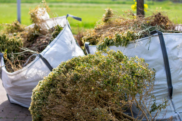 Best Office Junk Removal  in Amity Gardens, PA